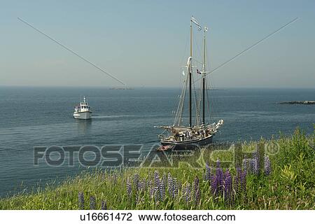 Stock Image -  Monhegan Island, ME, Maine, tail ship, schooner. Fotosearch
