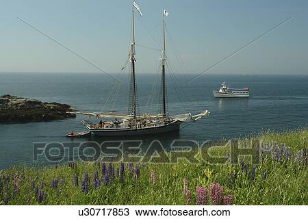 Monhegan Island, ME, Maine, tail ship, schooner View Large Photo Image Stock Image - Monhegan Island, ME, Maine, tail ship, schooner. Fotosearch