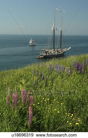 Monhegan Island, ME, Maine, tail ship, schooner View Large Photo Image Stock Photo - Monhegan Island, ME, Maine, tail ship, schooner. Fotosearch