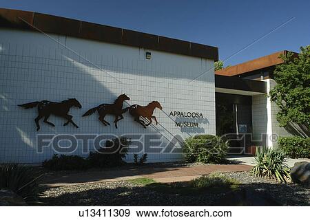 Moscow, ID, Idaho, Appaloosa Museum and Heritage Center View Large Photo Image Stock Photo - Moscow, ID, Idaho, Appaloosa Museum and Heritage Center. Fotosearch