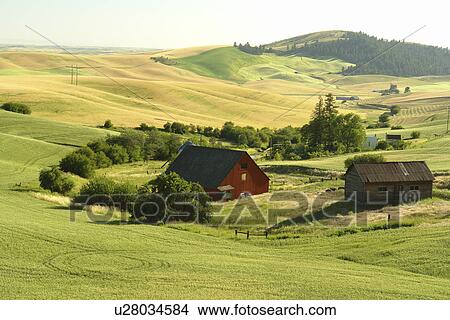 Moscow, ID, Idaho, The Palouse, rolling hills, farmland, fields View Large Photo Image Picture - Moscow, ID, Idaho, The Palouse, rolling hills, farmland, fields. Fotosearch