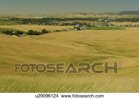 Moscow, ID, Idaho, The Palouse, rolling hills, farmland, fields View Large Photo Image Picture - Moscow, ID, Idaho, The Palouse, rolling hills, farmland, fields. Fotosearch
