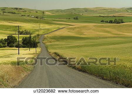 Stock Image -  Moscow, ID, Idaho, The Palouse, rolling hills, farmland, road. Fotosearch