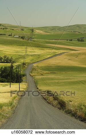 Moscow, ID, Idaho, The Palouse, rolling hills, farmland, road View Large Photo Image Stock Image - Moscow, ID, Idaho, The Palouse, rolling hills, farmland, road. Fotosearch