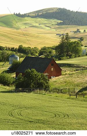 Moscow, ID, Idaho, The Palouse, rolling hills, farmland, fields View Large Photo Image Stock Image - Moscow, ID, Idaho, The Palouse, rolling hills, farmland, fields. Fotosearch
