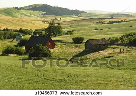 Moscow, ID, Idaho, The Palouse, rolling hills, farmland, fields View Large Photo Image Stock Image - Moscow, ID, Idaho, The Palouse, rolling hills, farmland, fields. Fotosearch