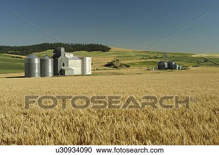 Stock Image -  Moscow, ID, Idaho, The Palouse, rolling hills, farmland, fields, grain elevators. Fotosearch