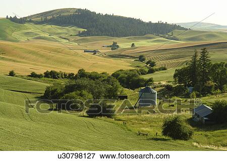 Moscow, ID, Idaho, The Palouse, rolling hills, farmland, fields View Large Photo Image Stock Photo - Moscow, ID, Idaho, The Palouse, rolling hills, farmland, fields. Fotosearch