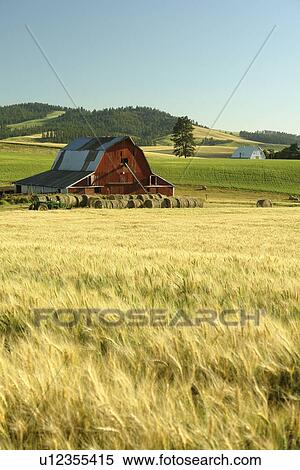 Moscow, ID, Idaho, The Palouse, rolling hills, farmland, fields, red barn View Large Photo Image Stock Photography - Moscow, ID, Idaho, The Palouse, rolling hills, farmland, fields, red barn. Fotosearch