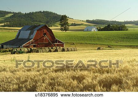 Moscow, ID, Idaho, The Palouse, rolling hills, farmland, fields, red barn View Large Photo Image Stock Photography - Moscow, ID, Idaho, The Palouse, rolling hills, farmland, fields, red barn. Fotosearch