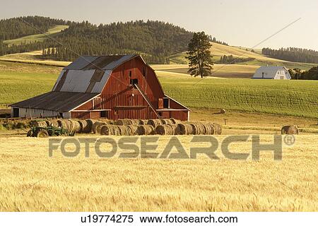 Moscow, ID, Idaho, The Palouse, rolling hills, farmland, fields, red barn View Large Photo Image Stock Photography - Moscow, ID, Idaho, The Palouse, rolling hills, farmland, fields, red barn. Fotosearch