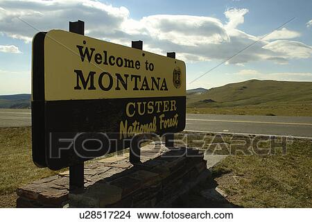 MT, Montana, Beartooth Scenic Highway, Beartooth All American Road, Welcome to Montana, entering Custer National Forest, road sign View Large Photo Image Picture - MT, Montana, Beartooth Scenic Highway, Beartooth All American Road, Welcome to Montana, entering Custer National Forest, road sign. Fotosearch