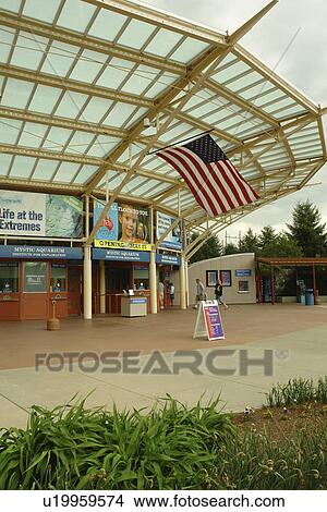 Mystic, CT, Connecticut, Mystic Aquarium View Large Photo Image Picture - Mystic, CT, Connecticut, Mystic Aquarium. Fotosearch