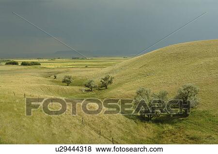 near Great Falls, MT, Montana, Cascade County, storm clouds, thunderstorm, open range View Large Photo Image Stock Photo - near Great Falls, MT, Montana, Cascade County, storm clouds, thunderstorm, open range. Fotosearch