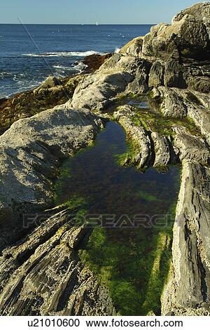 New Harbor, ME, Maine, Pemaquid Point View Large Photo Image Stock Image - New Harbor, ME, Maine, Pemaquid Point. Fotosearch