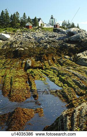 Stock Photograph -  New Harbor, ME, Maine, Pemaquid Point & Lighthouse. Fotosearch