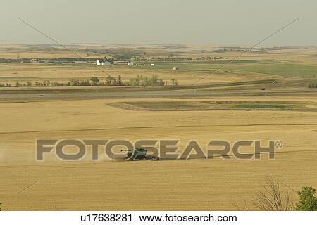 New Salem, ND, North Dakota, farming, farmland, wheat harvest View Large Photo Image Stock Image - New Salem, ND, North Dakota, farming, farmland, wheat harvest. Fotosearch