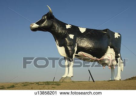 New Salem, ND, North Dakota, Salem Sue, Huge Holstein Cow View Large Photo Image Stock Image - New Salem, ND, North Dakota, Salem Sue, Huge Holstein Cow. Fotosearch