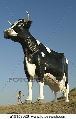 New Salem, ND, North Dakota, Salem Sue, Huge Holstein Cow View Large Photo Image Stock Photograph - New Salem, ND, North Dakota, Salem Sue, Huge Holstein Cow. Fotosearch