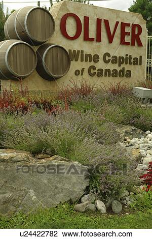 Oliver, Okanagan Valley, British Columbia, Canada, Oliver Wine Capital of Canada, entrance sign View Large Photo Image Stock Image - Oliver, Okanagan Valley, British Columbia, Canada, Oliver Wine Capital of Canada, entrance sign. Fotosearch