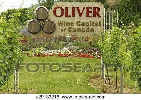 Stock Photograph -  Oliver, Okanagan Valley, British Columbia, Canada, Oliver Wine Capital of Canada, entrance sign. Fotosearch