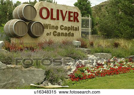 Oliver, Okanagan Valley, British Columbia, Canada, Oliver Wine Capital of Canada, entrance sign View Large Photo Image Stock Photography - Oliver, Okanagan Valley, British Columbia, Canada, Oliver Wine Capital of Canada, entrance sign. Fotosearch