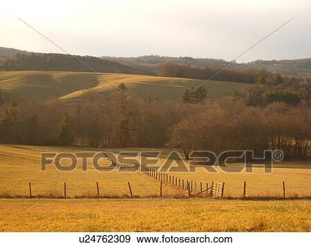 pasture, farm, Blue Ridge Parkway, Virginia, VA View Large Photo Image Stock Photo - pasture, farm, Blue Ridge Parkway, Virginia, VA. Fotosearch
