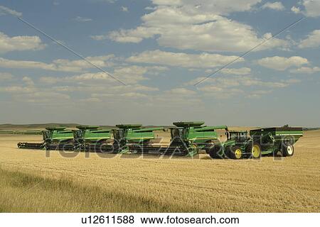 Regent, ND, North Dakota, farming, farmland, field, wheat harvest, farm machinery, John Deere View Large Photo Image Stock Photo - Regent, ND, North Dakota, farming, farmland, field, wheat harvest, farm machinery, John Deere. Fotosearch