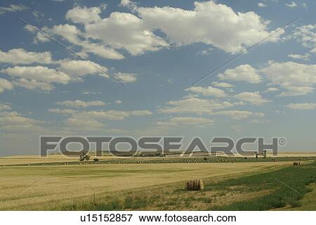 Stock Photo -  Regent, ND, North Dakota, farming, farmland, field, hay bale. Fotosearch