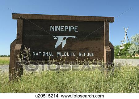 Ronan, MT, Montana, Flathead Indian Reservation, Mission Valley, Ninepipe National Wildlife Refuge, entrance sign View Large Photo Image Picture - Ronan, MT, Montana, Flathead Indian Reservation, Mission Valley, Ninepipe National Wildlife Refuge, entrance sign. Fotosearch