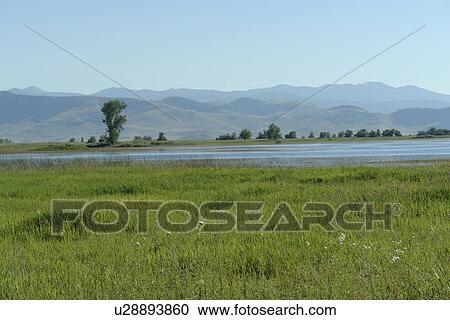 Ronan, MT, Montana, Flathead Indian Reservation, Mission Valley, Ninepipe National Wildlife Refuge View Large Photo Image Stock Image - Ronan, MT, Montana, Flathead Indian Reservation, Mission Valley, Ninepipe National Wildlife Refuge. Fotosearch