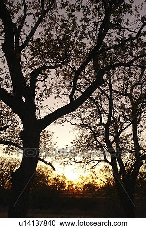 Stock Image -  San Angelo, Texas, TX, State Park. Fotosearch