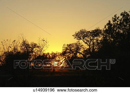 San Angelo, Texas, TX, State Park View Large Photo Image Stock Photograph - San Angelo, Texas, TX, State Park. Fotosearch