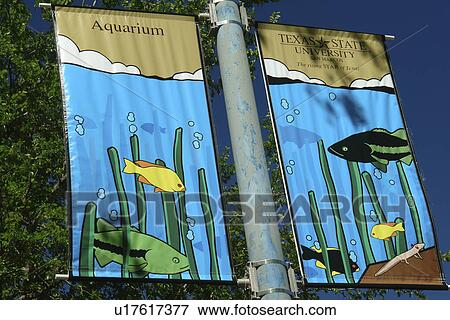 San Marcos, Texas, TX, View Large Photo Image Stock Photo - San Marcos, Texas, TX, . Fotosearch