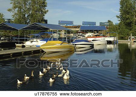 Stock Photography -  Sandpoint, ID, Idaho, Pend Oreille Lake, marina. Fotosearch