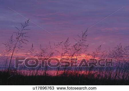 Sleeping Bear Dunes National Lakeshore, MI, Michigan, Lake Michigan, sunset View Large Photo Image Stock Image - Sleeping Bear Dunes National Lakeshore, MI, Michigan, Lake Michigan, sunset. Fotosearch