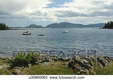 Sorrento, ME, Maine, harbor View Large Photo Image Stock Image - Sorrento, ME, Maine, harbor. Fotosearch