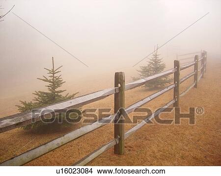split rail fence, fog, Galax, Virginia, VA View Large Photo Image Picture - split rail fence, fog, Galax, Virginia, VA. Fotosearch