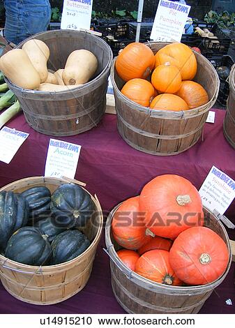 squash, pumpkins, Saturday Farmers Market, Montpelier, VT, Vermont View Large Photo Image Stock Image - squash, pumpkins, Saturday Farmers Market, Montpelier, VT, Vermont. Fotosearch