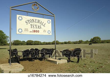Stonewall, Texas, TX, Hill Country View Large Photo Image Picture -  Stonewall, Texas, TX, Hill Country. Fotosearch