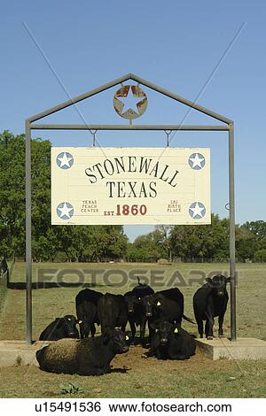 Stock Photograph -  Stonewall, Texas, TX, Hill Country. Fotosearch