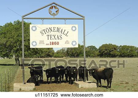 Stonewall, Texas, TX, Hill Country View Large Photo Image Stock Photography - Stonewall, Texas, TX, Hill Country. Fotosearch