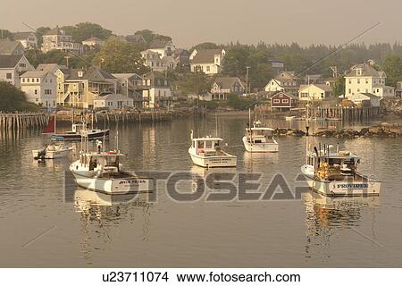 Picture -  Stonington, ME, Maine, Deer Isle, fishing harbor. Fotosearch