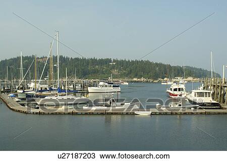 Stock Image -  Stonington, ME, Maine, Deer Isle, fishing harbor. Fotosearch