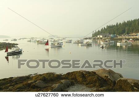 Stonington, ME, Maine, Deer Isle, fishing harbor View Large Photo Image Stock Image - Stonington, ME, Maine, Deer Isle, fishing harbor. Fotosearch