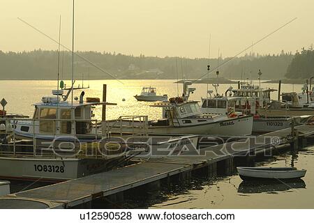 Stonington, ME, Maine, Deer Isle, fishing harbor View Large Photo Image Stock Photo - Stonington, ME, Maine, Deer Isle, fishing harbor. Fotosearch