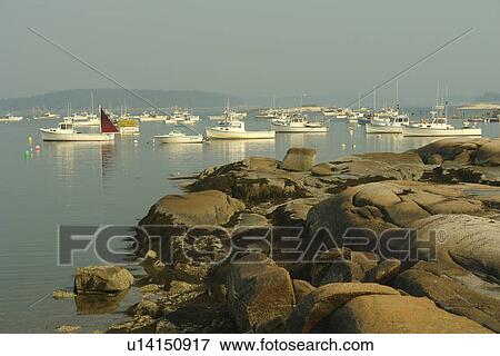 Stonington, ME, Maine, Deer Isle, fishing harbor View Large Photo Image Stock Photo - Stonington, ME, Maine, Deer Isle, fishing harbor. Fotosearch