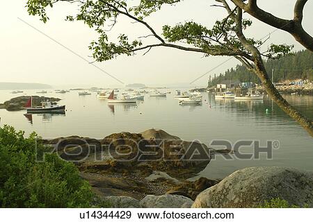 Stonington, ME, Maine, Deer Isle, fishing harbor View Large Photo Image Stock Photo - Stonington, ME, Maine, Deer Isle, fishing harbor. Fotosearch
