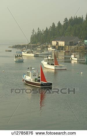Stonington, ME, Maine, Deer Isle, fishing harbor View Large Photo Image Stock Photograph - Stonington, ME, Maine, Deer Isle, fishing harbor. Fotosearch