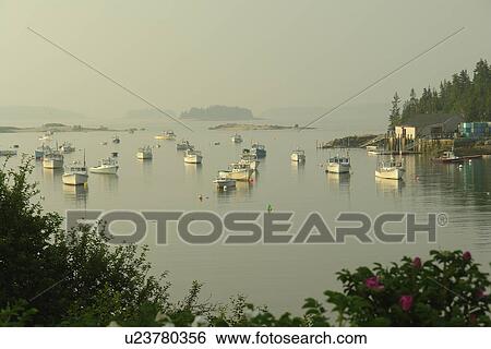 Stonington, ME, Maine, Deer Isle, fishing harbor View Large Photo Image Stock Photograph - Stonington, ME, Maine, Deer Isle, fishing harbor. Fotosearch
